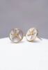 Transformed Starfish  Earrings