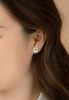 Transformed Starfish  Earrings