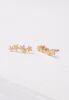 Beatrix Gold Star Crawler Earrings