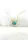 Radiant Dawn Necklace