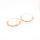 Brass Earring Rori