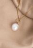 Necklace with Sweetwater Pearl