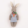 Kunjal the rabbit