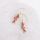 Earrings Colorful Fish